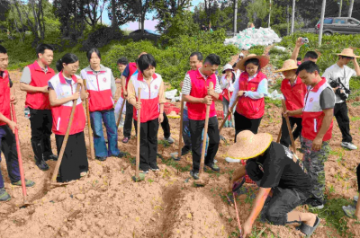 泥土践初心 青春绘振兴！他们解锁不一样的五四青年节打开方式→