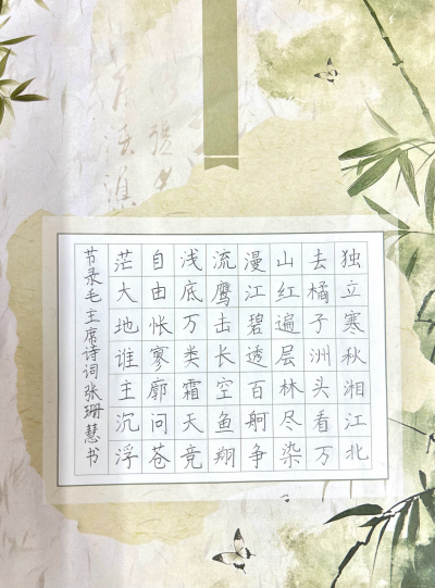 梅江区鸿都小学张珊慧丨书法