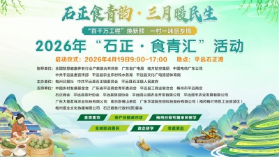 直播回顾丨春风十里，一口“青”香！平远石正喊你过三月三啦~