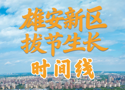 雄安新区拔节生长时间线 