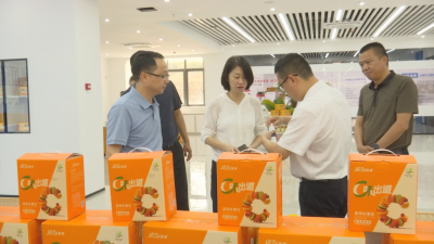 广州市番禺区宣传部来蕉调研 深化宣传联动 讲好帮扶故事