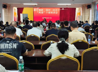 兴宁市新圩镇举办新一届村（社区）“两委”干部培训班
