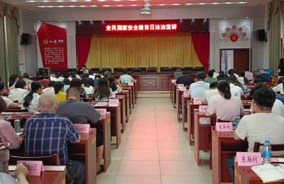 梅江区金山街道开展全民国家安全教育日法治讲座