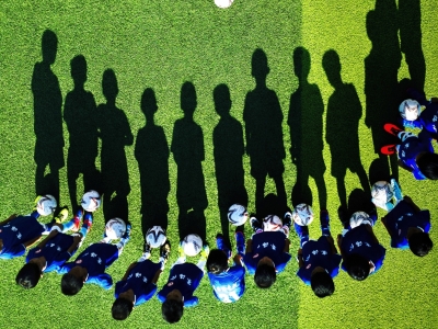 枫林|（随笔）大叶榕的新生