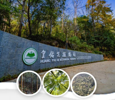 探秘蕉岭南磜山水人文，用脚步丈量“天然氧吧”，这条路线别错过→