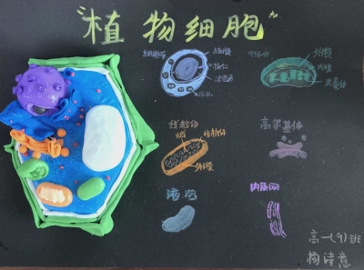 梅雁中学杨诗意丨 绘画　