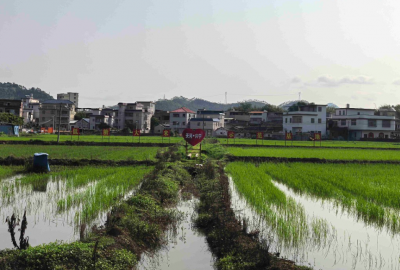 天河区驻兴宁市坭陂镇帮扶工作队：精准对接搭建平台，助力农产品出山入湾