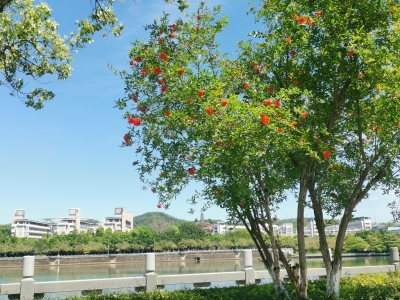 谢文龙 | 调水师