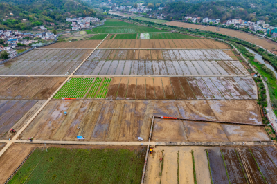 万象“耕”新！我市春播粮食进度逾九成  