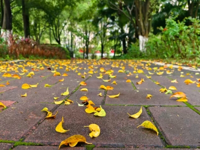 渐冻人钟展峰专栏 | 井