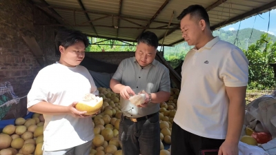 “双百行动”赋能乡村振兴！蕉岭匠心打造“蕉岭一桌菜”
