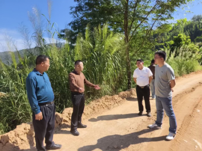 丰顺小胜镇人大：履职为民筑通途 凝心聚力添新绿
