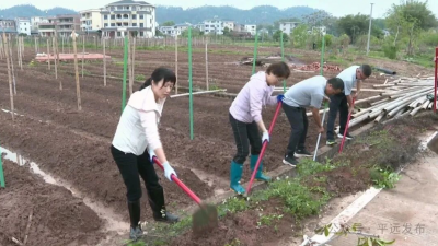 平远县各地开展河道清淤清障活动