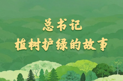 学习新语｜总书记植树护绿的故事