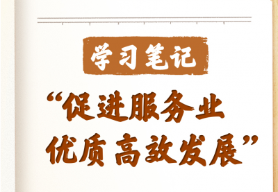 学习笔记丨“促进服务业优质高效发展”