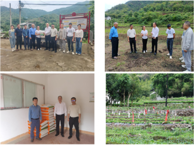 科技唤醒“沉睡”土地！驻大埔县银江镇农村科技特派员团队帮扶撂荒地纪实
