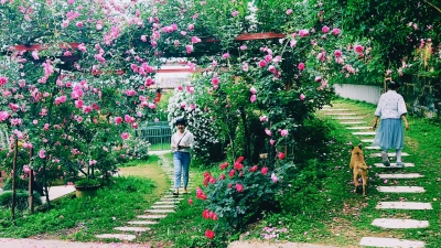许素芬 | 我成了学生的 “长期客户”  