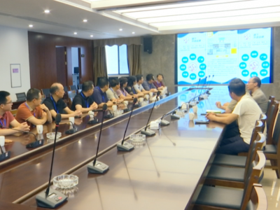 蕉岭县政协组织开展知识产权保护工作专题视察：强化知识产权保护 推动“知产”变“资产”