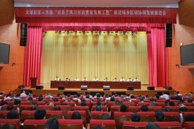 大埔召开2026年深入实施“百千万工程”促进城乡区域协调发展推进会