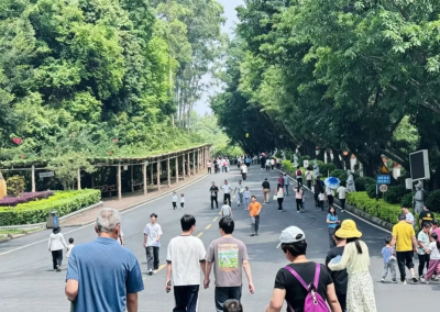 满园“丰”光美如画！丰顺公园成为假期热门打卡地