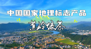 梅州V视丨中国国家地理标志产品：蕉岭绿茶
