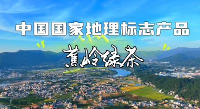 梅州V视丨中国国家地理标志产品：蕉岭绿茶