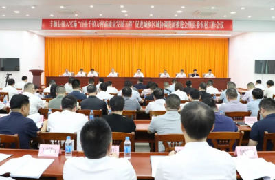 2026年丰顺县深入实施“百县千镇万村高质量发展工程”促进城乡区域协调发展推进会暨县委农村工作会议召开