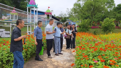 聚力产才融合！梅州高层次人才赴平远调研乡村特色产业暨农文旅融合发展主题交流活动举办