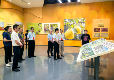 马志元率队到梅县区开展民主监督调研：科技赋能推动金柚产业发展