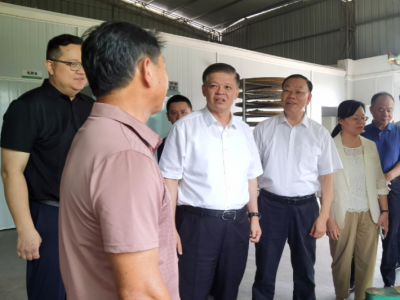 王健到梅县区石坑镇调研督导：做强特色产业 加快推进“百千万工程”