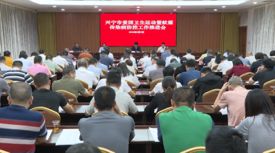 兴宁市召开爱国卫生运动暨蚊媒传染病防控工作推进会