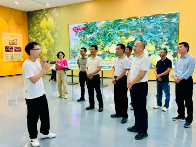 阳江市政协考察组来梅考察 深化交流互鉴 做强特色产业