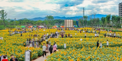 文旅盛宴引客来，山水兴业展活力！蕉岭农文旅双向赋能，“五一”假期文旅市场客流消费双提升
