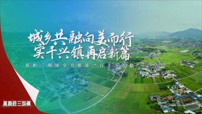 梅州V视丨城乡共融向美而行 实干兴镇再启新篇