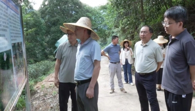 省委党史研究室调研组到丰顺县调研乡村振兴及驻镇帮镇扶村工作