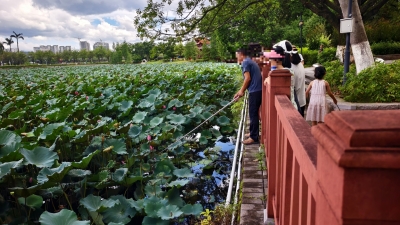 不文明行为曝光台丨端午假期，梅城这些“煞风景行为”要不得...