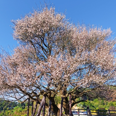 【渐冻人钟展峰专栏】回 响