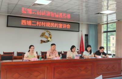 移风易俗筑乡风！兴宁市黄槐镇西埔二村召开村规民约专题宣讲会