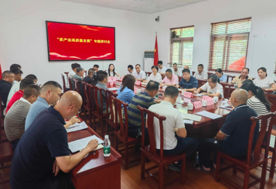 兴宁市径南镇召开茶果产业高质量发展专题研讨会