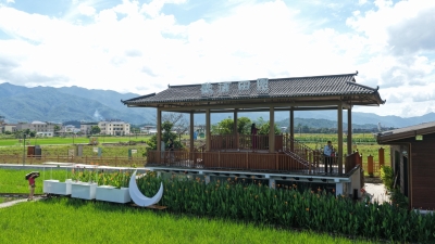 万物共生展新卷 艺术赋能促振兴！蕉岭县持续办好大地艺术季促进乡村“颜值”变“产值”
