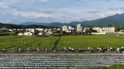 蕉岭再出圈！“万物共生”第二届广东蕉岭大地艺术季来了