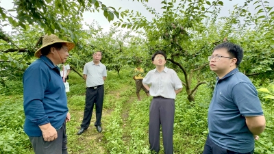 平远开展“端午暖才·服务到家”走访活动  