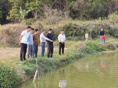 科技赋能，标准护航！梅州市农林科学院水产研究所助力梅州水产产业振兴