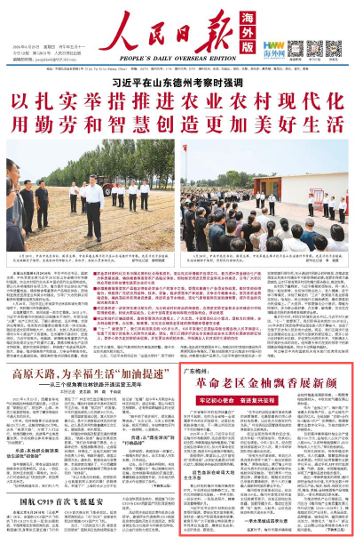 人民日报海外版头版报道丨广东梅州：革命老区金柚飘香展新颜