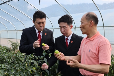 家事、邻里、商事纠纷一键化解！梅江区人民法院以高质高效司法赋能基层治理
