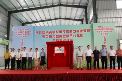 生产数据转化成银行授信！梅县区桃尧镇金柚产业数字化升级获3亿元金融“活水”