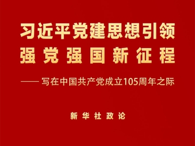 习近平党建思想引领强党强国新征程