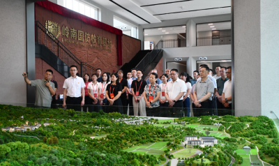 市人大常委会组织在梅全国、省人大代表开展专题调研：深入调研察实情 建言献策促发展