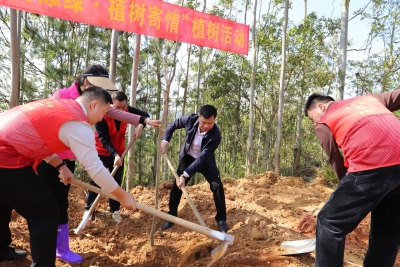 锚定典型创建 实干赋能振兴！兴宁市罗岗镇推进“百千万工程”典型村创建走深走实