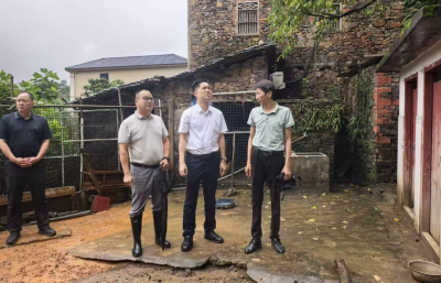 赵超文督导检查北部四镇防汛救灾工作：坚决筑牢安全防线